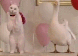 |搞笑动图:我就含在嘴里不吃,逗你玩!