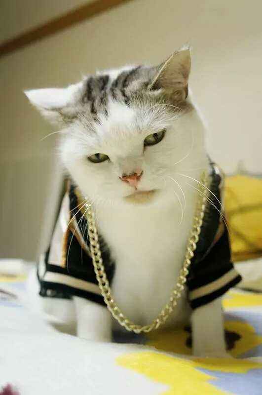 |搞笑段子:楼下的张婶是个热心肠的人