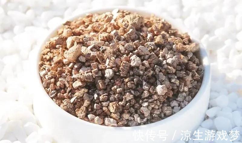 养花的你，知道这种小石头有多神奇吗