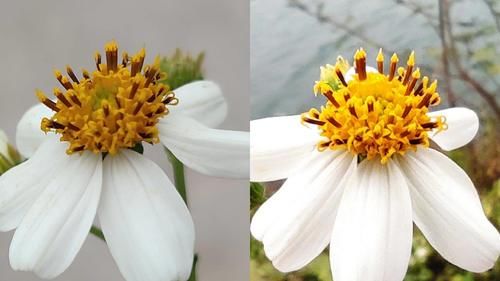 手机|首发实测高配Redmi Note 9！千元一亿像素吊打旗舰？