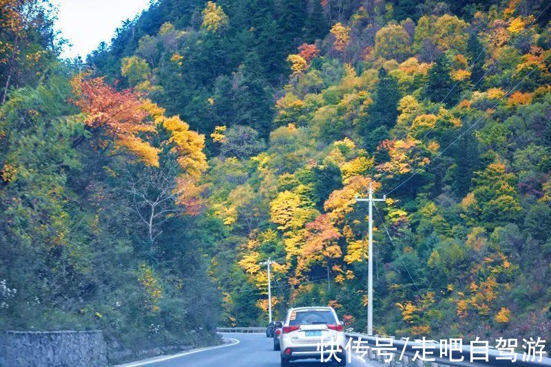 茂县|又是一年红叶季！四川最美红叶观赏地图，看这一份就够了