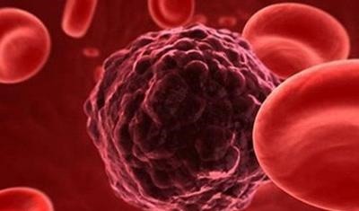 免疫力|这两味药能抗癌、提高免疫力,配伍使用效果更好