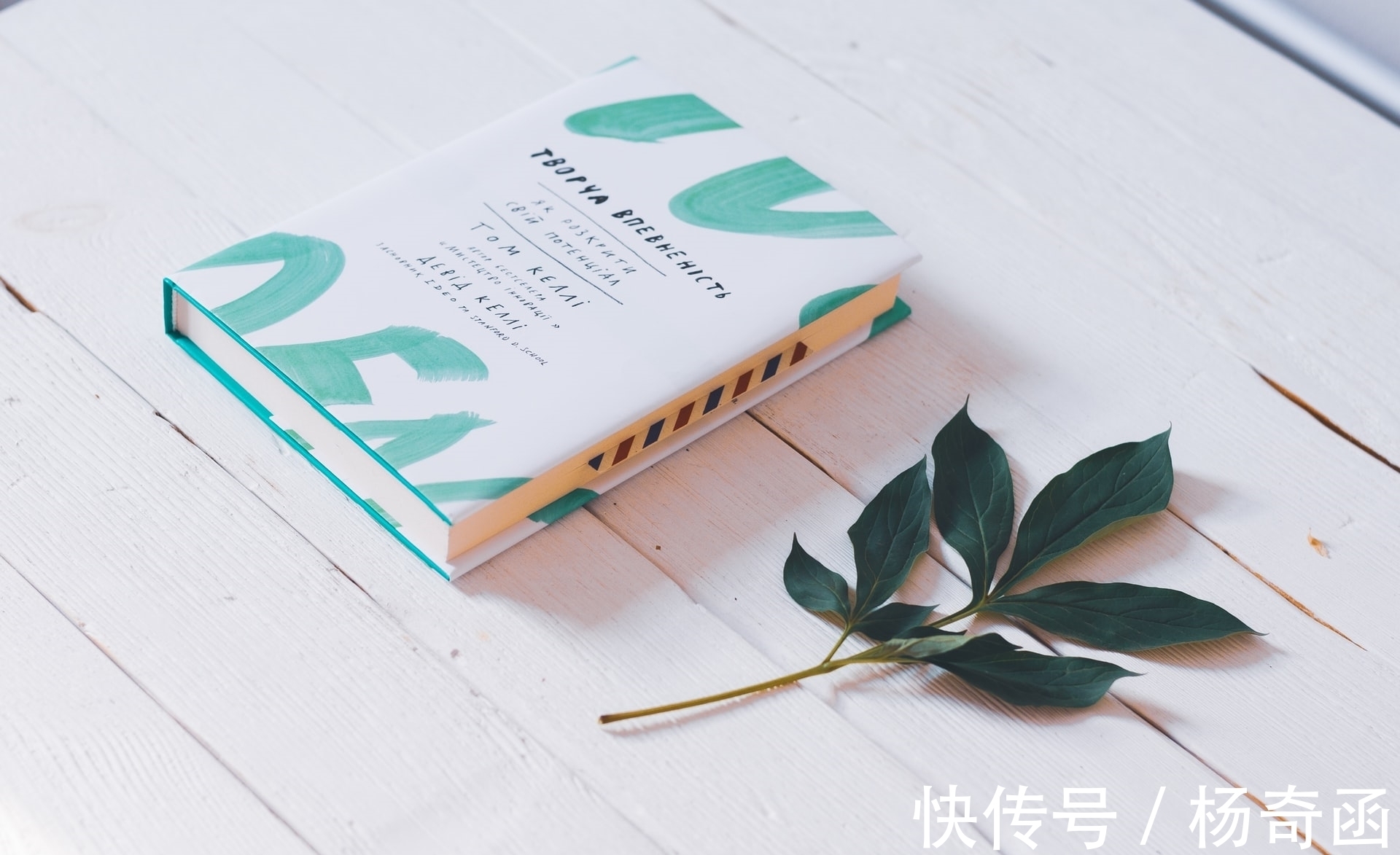 买书$你是不是一边疯狂买书,一边不想读书?