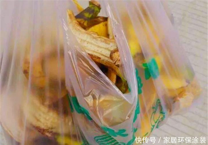 鸡蛋戳个洞,埋盆里1年不用施肥,三角梅疯狂开花