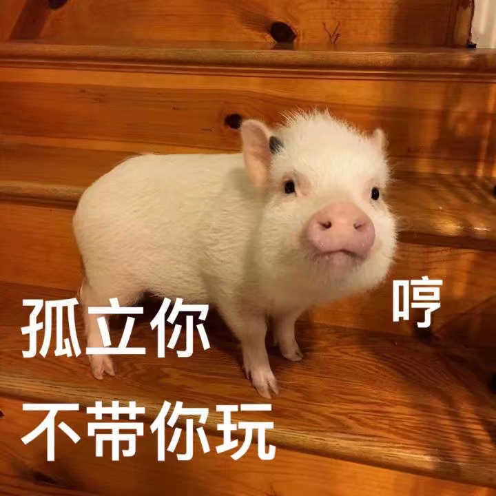 |幽默段子:最近心情不好,闺蜜天天来安慰我