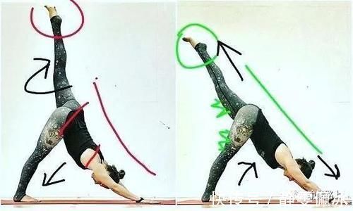 胸腔|为什么瑜伽练习不能照葫芦画瓢？看过这些图你就懂了…