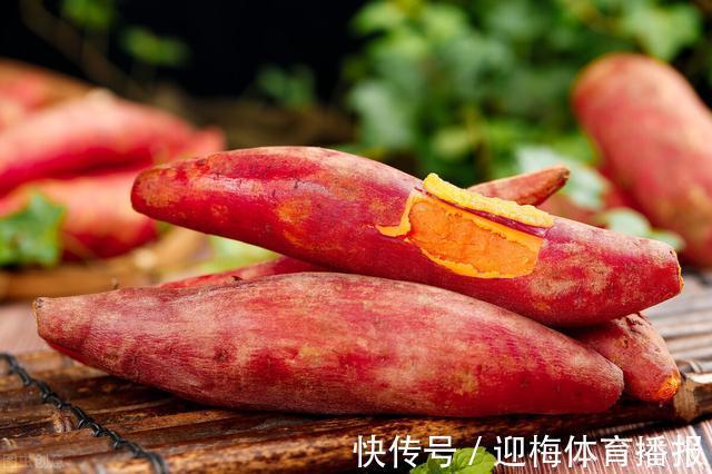 鱼钩|便宜又好用!鲤鱼最爱的2种饵料,赶紧试试吧