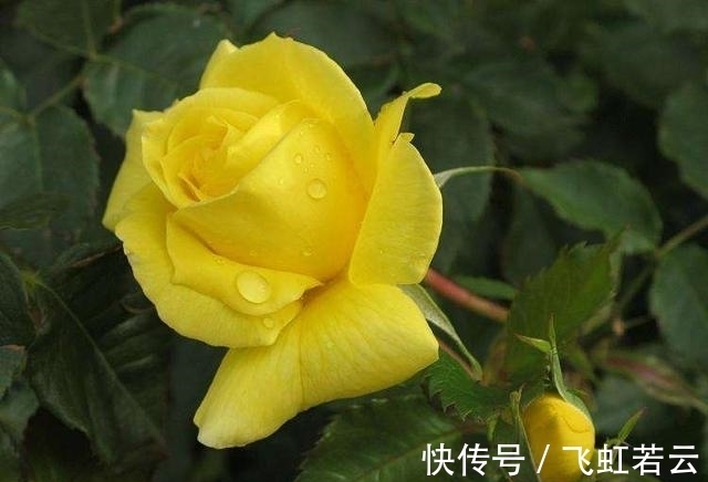 金牛|10月迎来大富贵,鸿运当头,家中添福又添财的4大星座