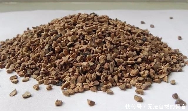 丝瓜络|花盆里加点这个,10年不用换盆,花儿越开越旺!