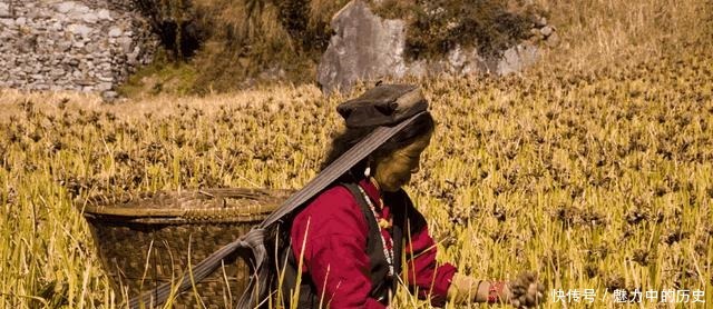 如今|西夏人的一支后裔如今还为祖国守边疆,样貌很漂亮,深眼窝高鼻梁!