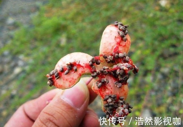 非物质文化遗产|外公一个小方法轻松解决,治疗风湿方法就在身边!