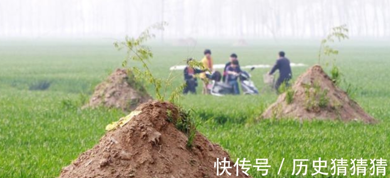 坟头&农民朋友又有事做?“土葬”即将取消,村中的新坟旧坟都要迁走