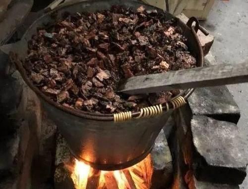 煤块|养花烂根不是大问题!土里埋点它,根须刷刷长满盆,越来越壮实