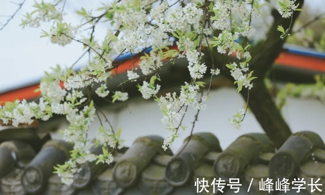 大丈夫#《后汉书》精选30句,以史为鉴知得失