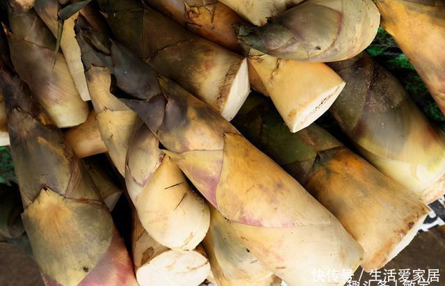 浪费|买竹笋,挑长的好还是粗的好?菜农:买错了难吃,浪费钱!