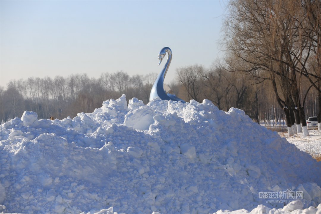 探秘|太阳岛雪博会：还没开雕，堆雪已经很壮观丨手机记者带你探秘