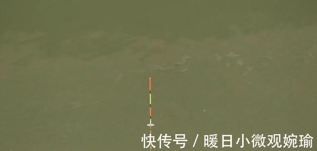 手杆|手杆钓鲢鳙有技巧,掌握好这5点,这个夏天过足瘾