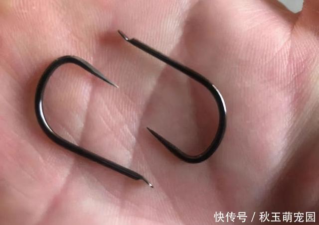 鱼钩挂底、挂树、挂衣服，别着急，这样处理，很快就能搞定