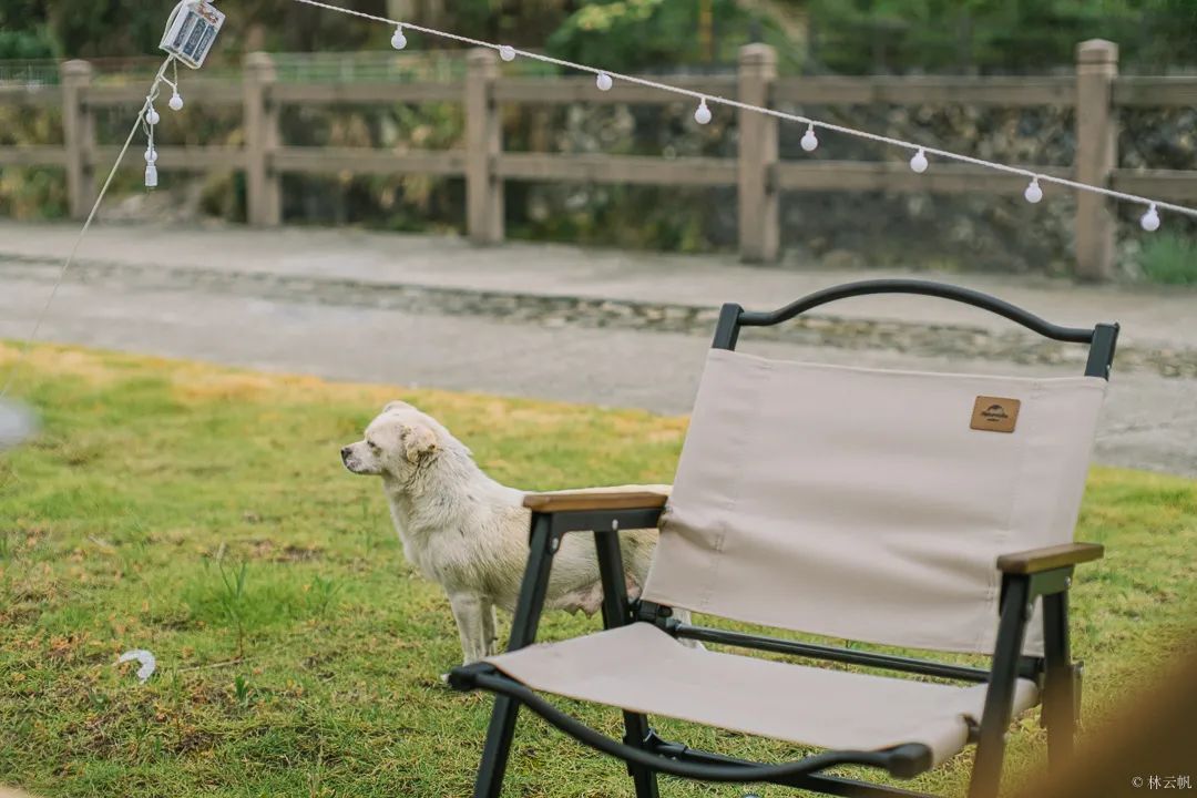 居所|太拉風(fēng)了！螞蟻探路帶領(lǐng)房車露營真人秀節(jié)目慶元拍攝圓滿殺青