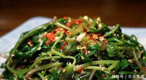 很好吃|中国农村最好吃的野菜,全吃过的人不多,你能准确叫出名字吗?