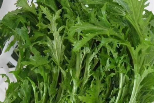 食物|聪明女人最爱吃3种食物,排毒养颜,保养卵巢, 好处多多