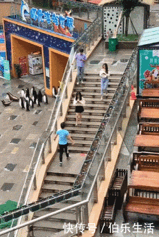 神评|“玩了三年这游戏,还不知道这俩到底叫什么?”哈哈……神评精辟了!