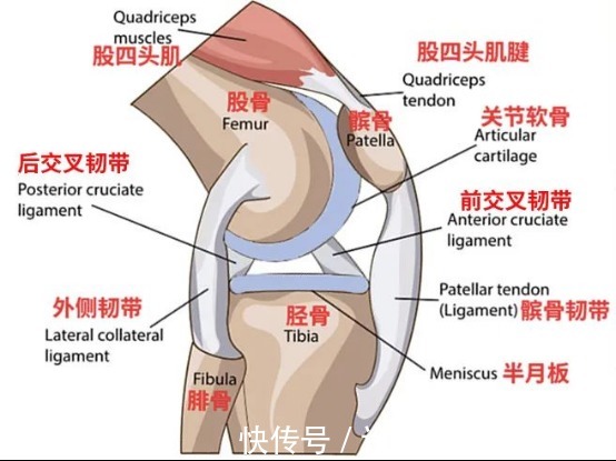 骨性关节炎|一个伤膝盖的动作，你可能每天都在做