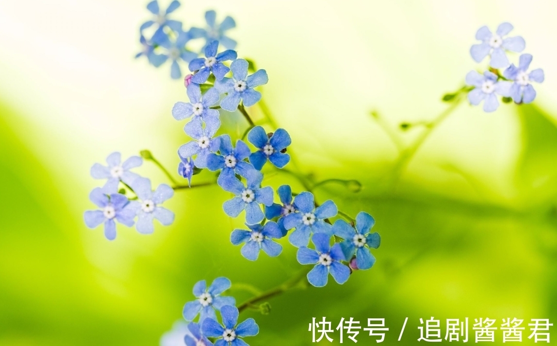 挚爱|6月底，桃花包围，姻缘出没，3生肖满心欢喜，寻得挚爱，余生不散