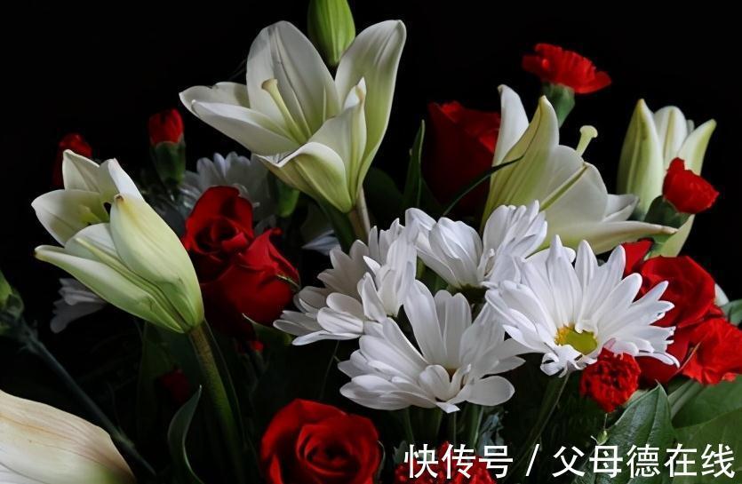 网套|养花从不醒盆,醒花,别假装你会养花