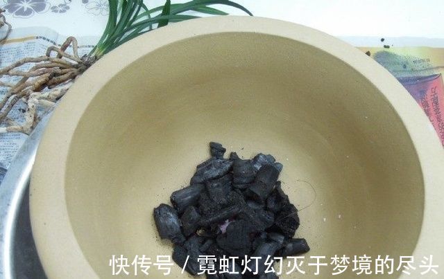 爆盆|捡点它垫在盆底,兰花养20年不烂根,盆栽兰花根肥壮撑爆盆