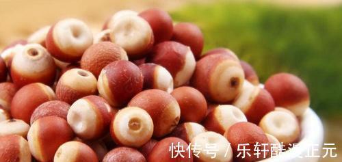 板栗|秋季健脾很重要,分享八种健脾的食物,多吃它们,顺利过秋季