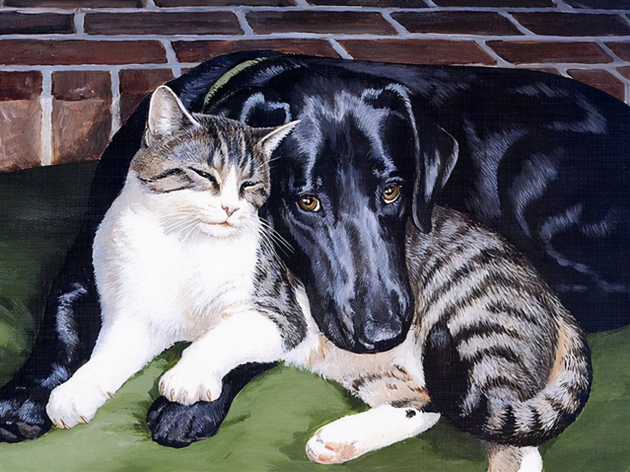 LUCIE@艺术家 LUCIE BILODEAU 画笔下的猫咪系列油画精致的实在太可爱了