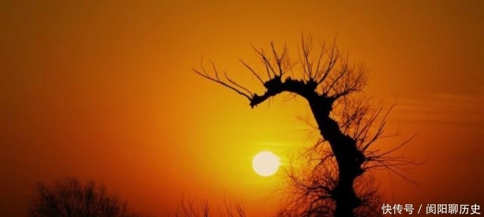 冰壶&杨万里充满禅理的一首诗,给人一种大彻大悟之感,读懂了受益终生