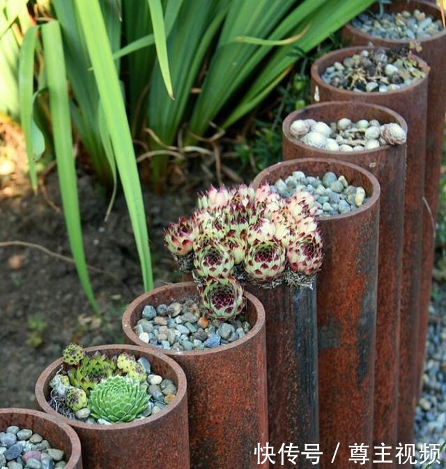 可别小看了被你扔掉的破铜烂铁!二次利用起来,在花园咋种都好看!