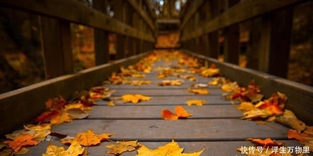 老实人,牢记这两条人情世故,也可以游刃