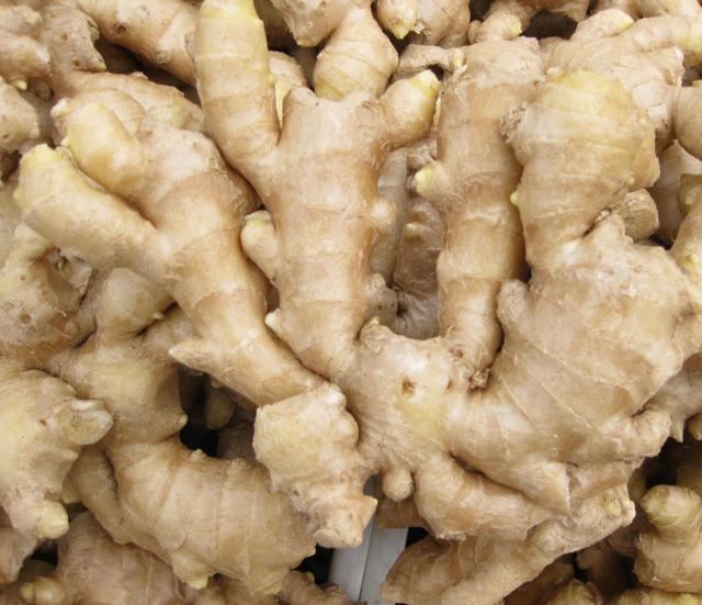 颈椎病|颈椎病头疼别担心,天麻配鱼头,头晕疼痛消失了,颈椎病去无踪