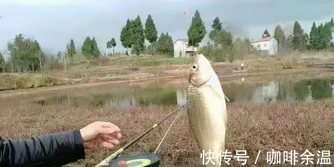 冬钓大鲫鱼的4个核心技巧,天气越冷咬钩的鲫鱼越大!