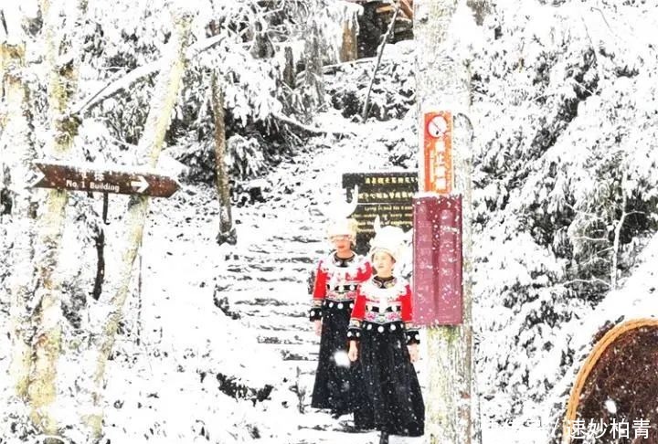 摩围|好美！摩围山下雪了