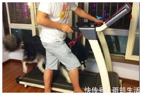 小姐姐|女人肚子大腿粗?健身教练:记住这“3招”,体脂蹭蹭降!