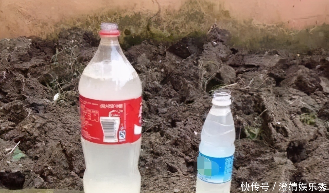 鸡蛋|拿1个鸡蛋养花,知道该怎么用吗?看看这里,别再弄错方法了