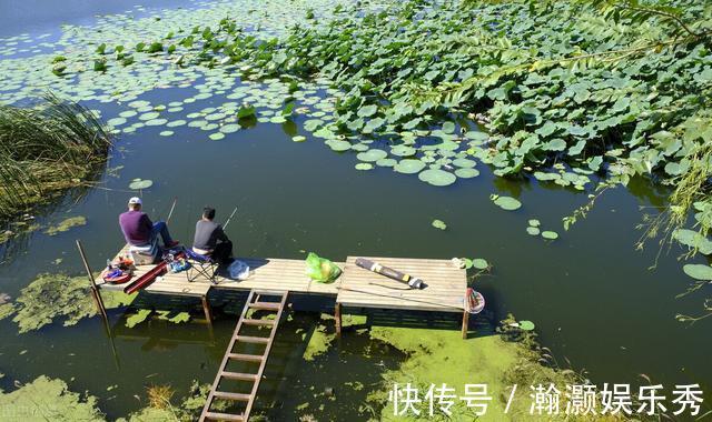 一套冬季钓鲫鱼的黄金公式,适用任何自然水域,从选点标准到垂钓