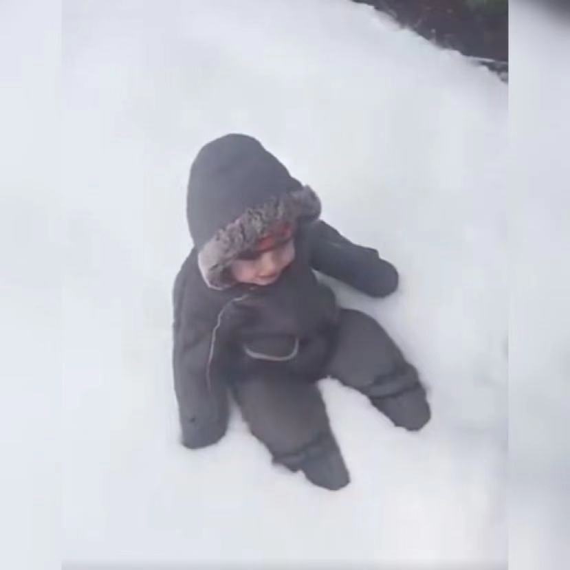 自由飞翔|亲爸让娃第一次体验雪，娃的小表情亮了，网友：是自由飞翔的感觉