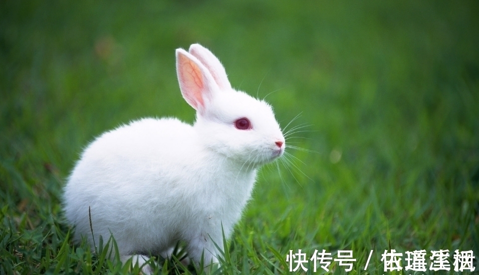 登荣|今年七月，哪3大生肖苦难已熬完，好运登荣榜首，路路顺财财通