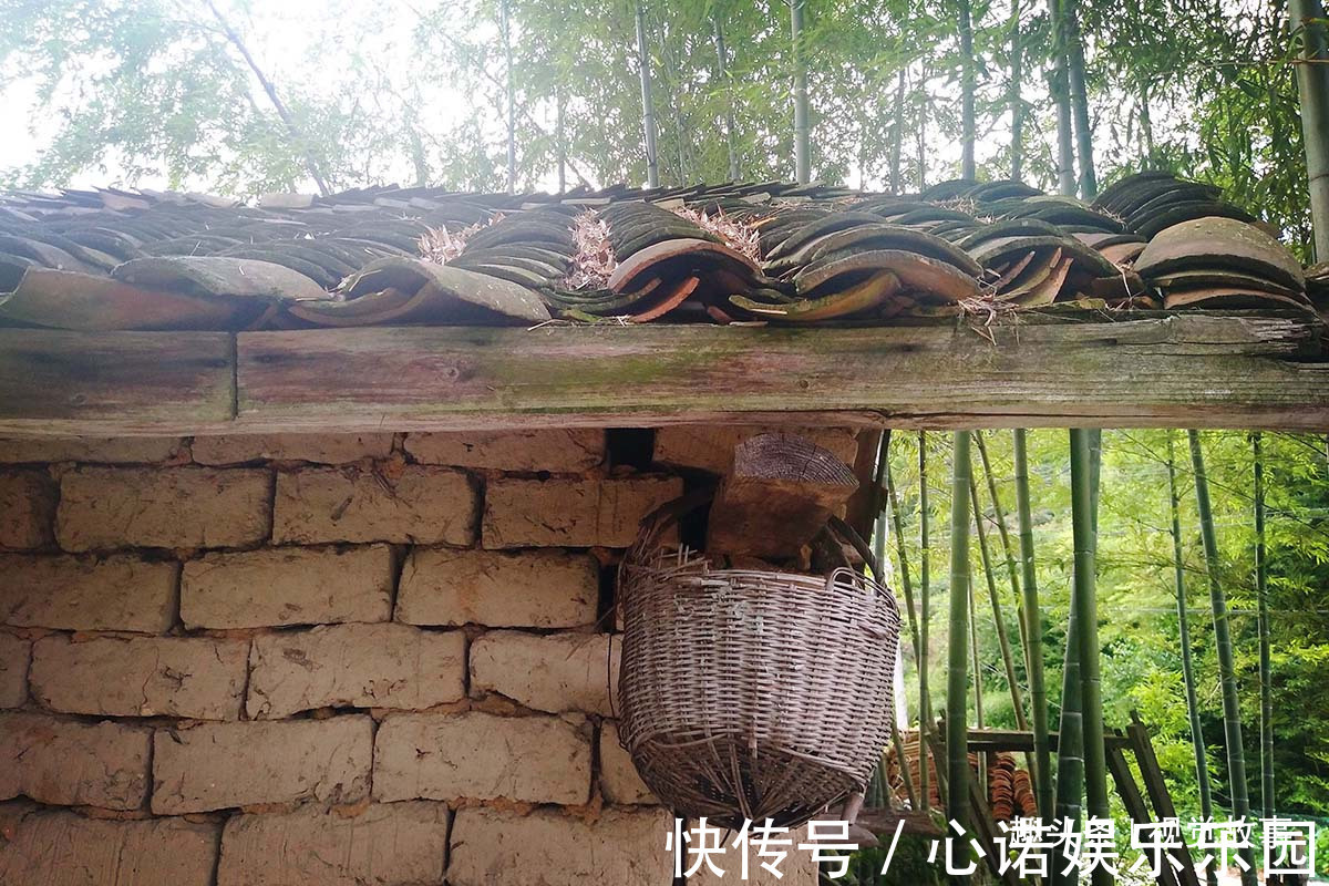 楼房|山村楼房装修豪华,门前堆满柴火,2个儿子3年没回家