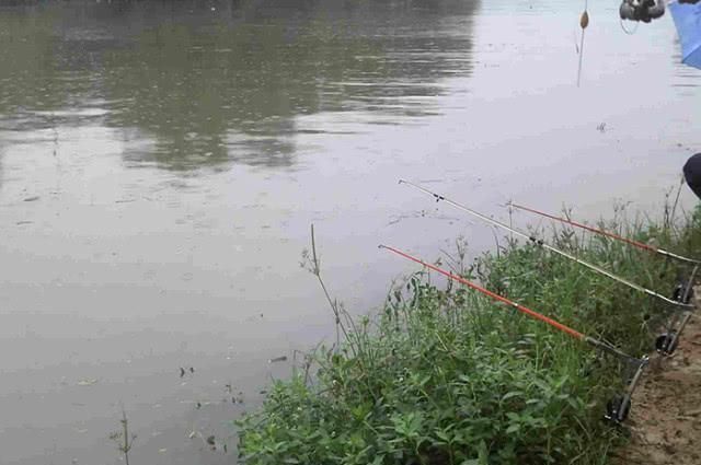 钓鱼|钓不到大鱼的钓友看过来,掌握这套秘籍,钓到大鱼几率会很高