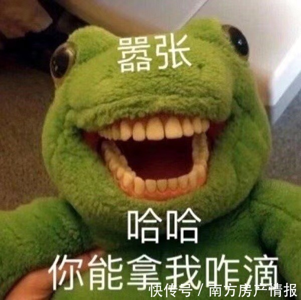 名额|首付3成变4成!退房得赔几十万,我该咋办?