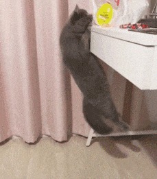 |搞笑GIF：妹子，你这太欺负人了，让你的粉丝情何以堪