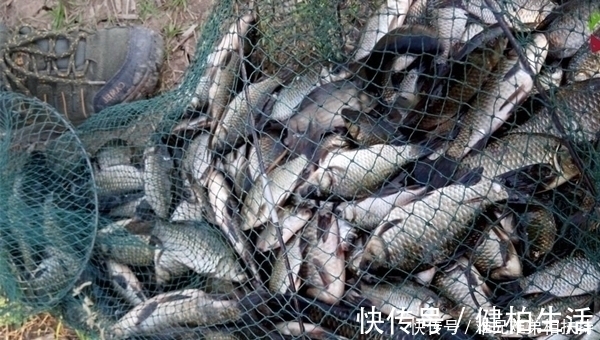 冬钓鲫鱼4“要”原则,学会这些“万金油”,冬季钓鱼不走空