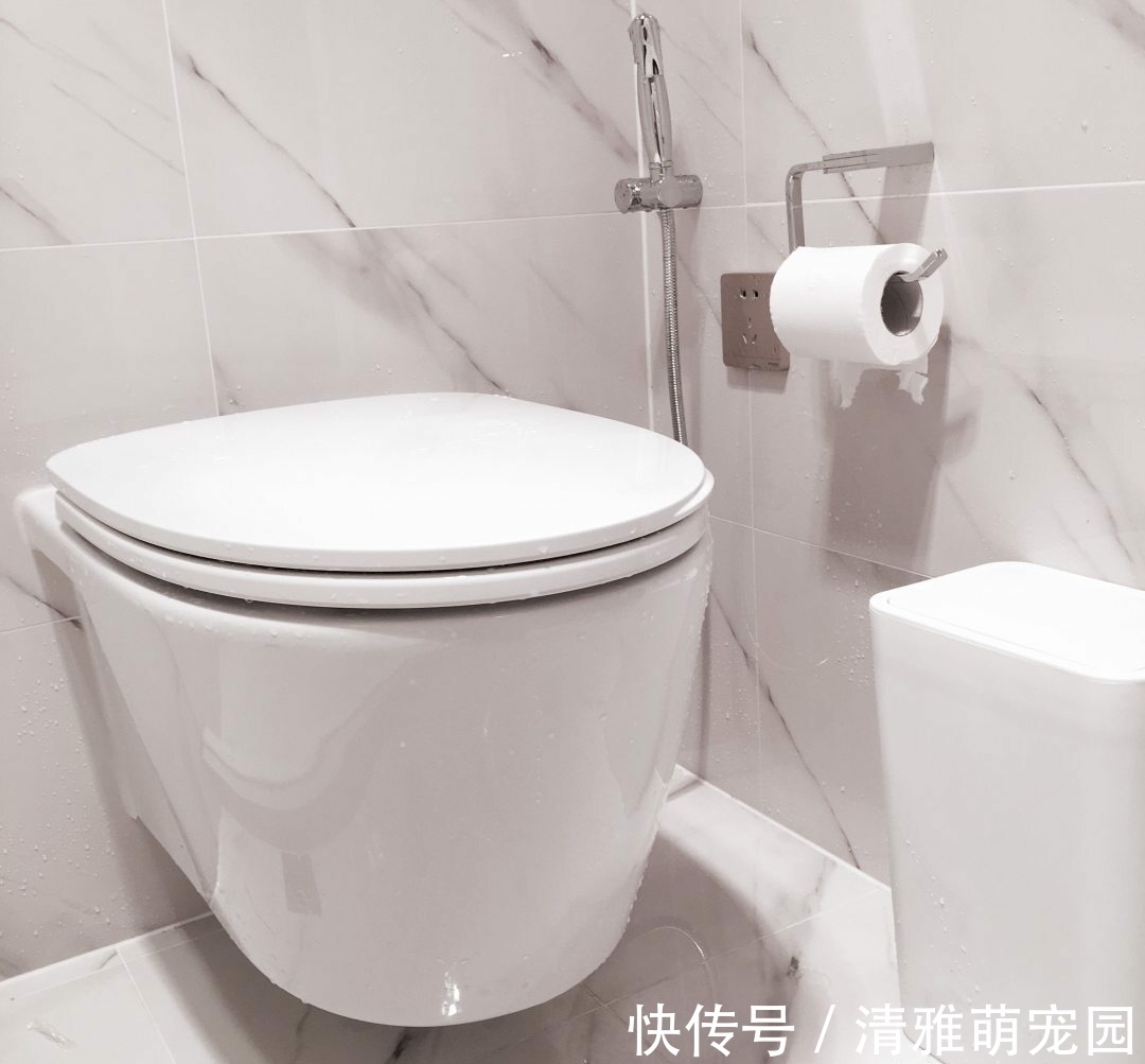 纸巾盒|装修前后做了12个小决定,别怨花钱,入住后家务少一半