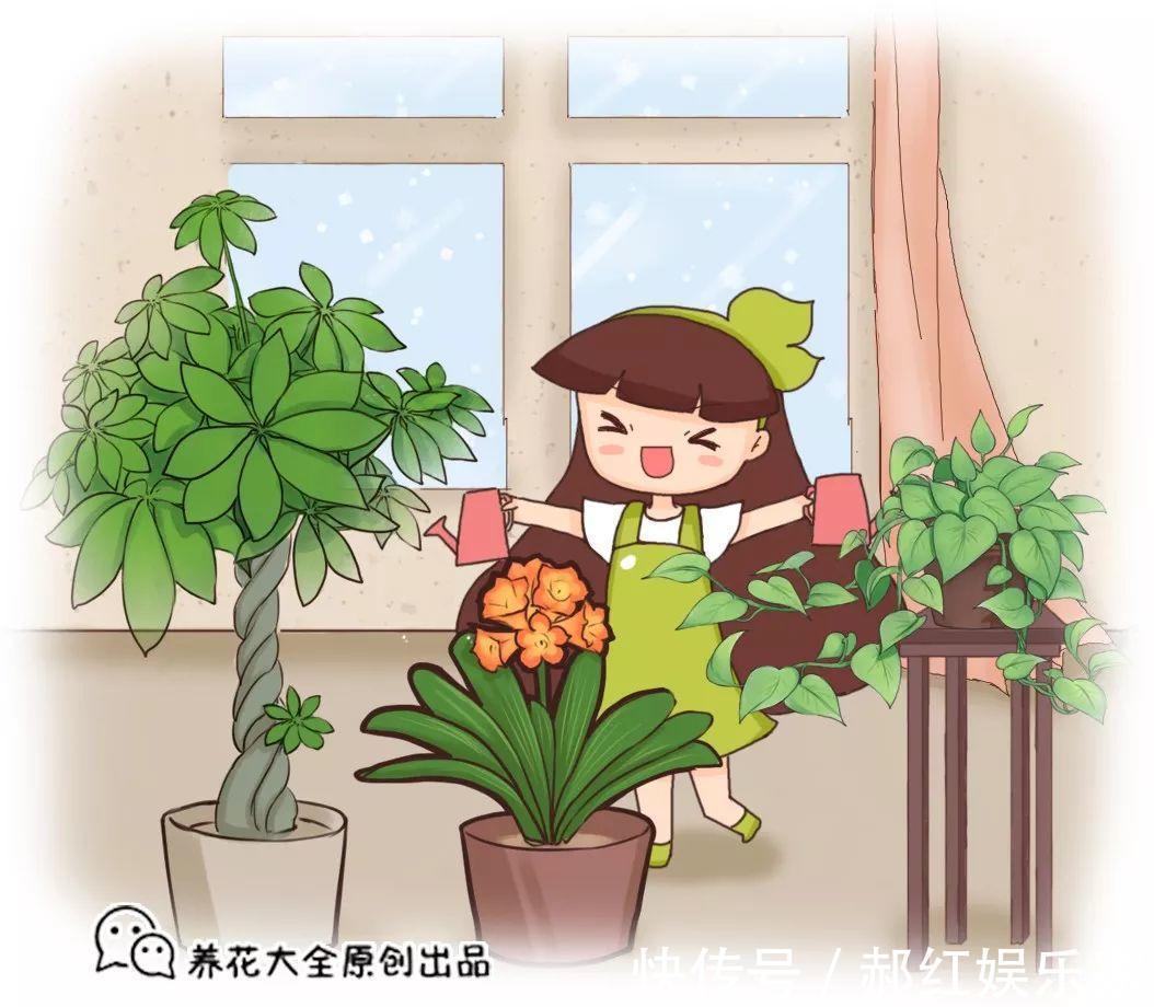 施肥|10个养花的坏习惯,赶紧改,不然真是浪费钱!